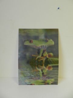 Obrázek z Obrázek 3D měnící 50x35cm - žáby (16) 
